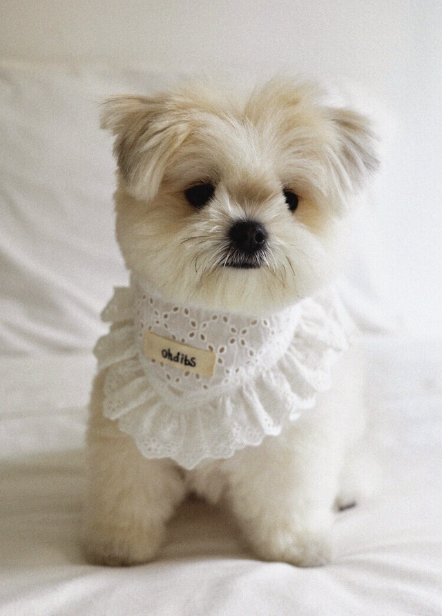 〈 即納アイテム 〉OHDIBS / Manon Kerchief(マノン・カーチフ)