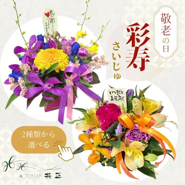 敬老の日限定アレンジメント「彩寿-さいじゅ-」 おすすめ 生花 プレゼント ギフト お祝い 記念日 長寿 感謝 ありがとう【配送期間：9月19日(土)〜21日(月)】