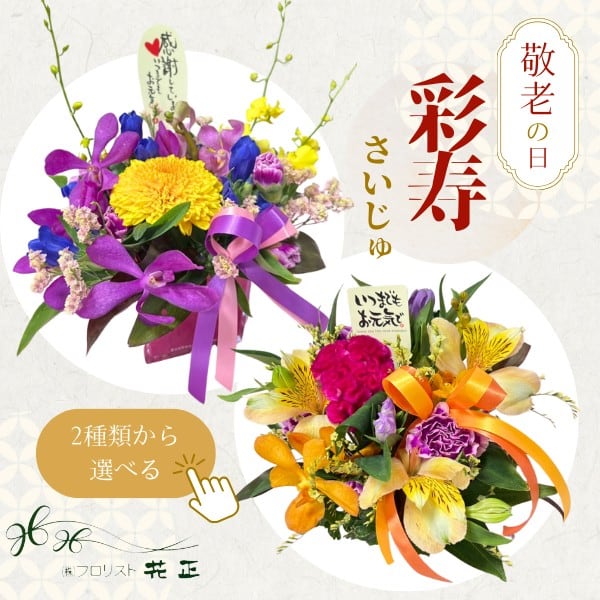 敬老の日限定アレンジメント「彩寿-さいじゅ-」 おすすめ 生花 プレゼント ギフト お祝い 記念日 長寿 感謝 ありがとう【配送期間:9月19日(土)〜21日(月)】
