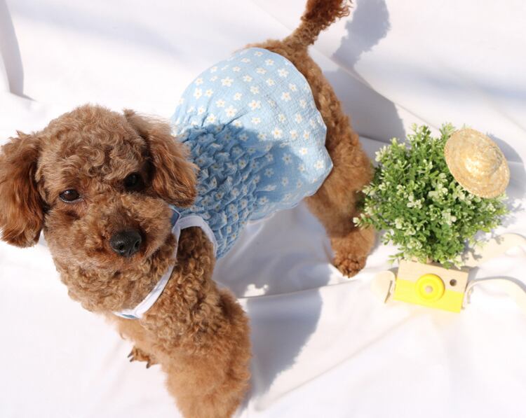 【SALE】daisy onepiece S ~ XL 3color  /  犬服 春夏 新作 ワンピース 小型犬 中型犬 犬の服 ドレス 袖なし 花柄 ドッグウェア 可愛い お揃い onepiece46