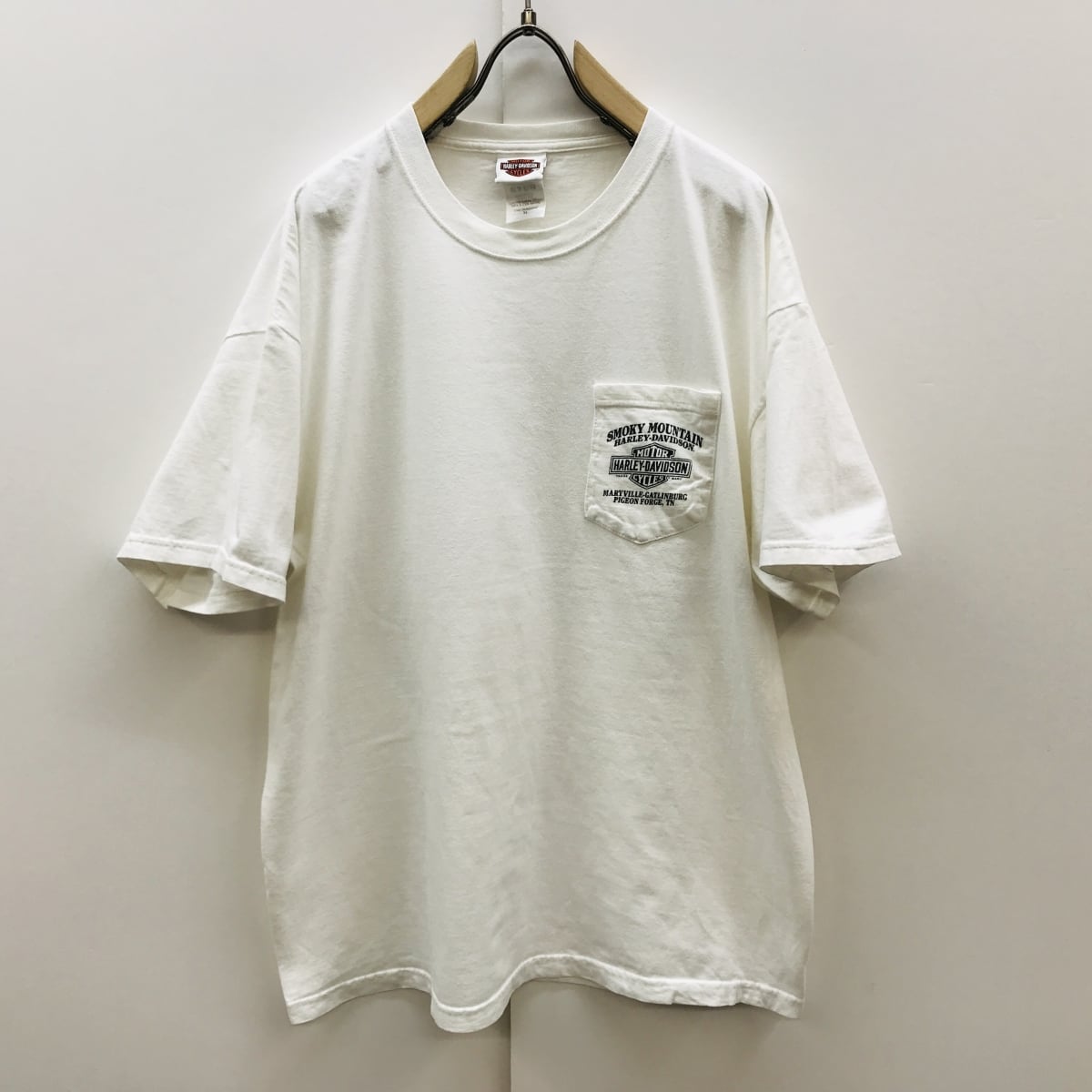 DRAGON　ビッグプリント　Tシャツ　　ドラゴン　胸ワンポイント