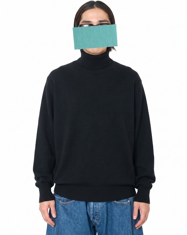 ssstein "EXTRA FINE WOOL KNIT TURTLE NECK LS〔BLACK〕"