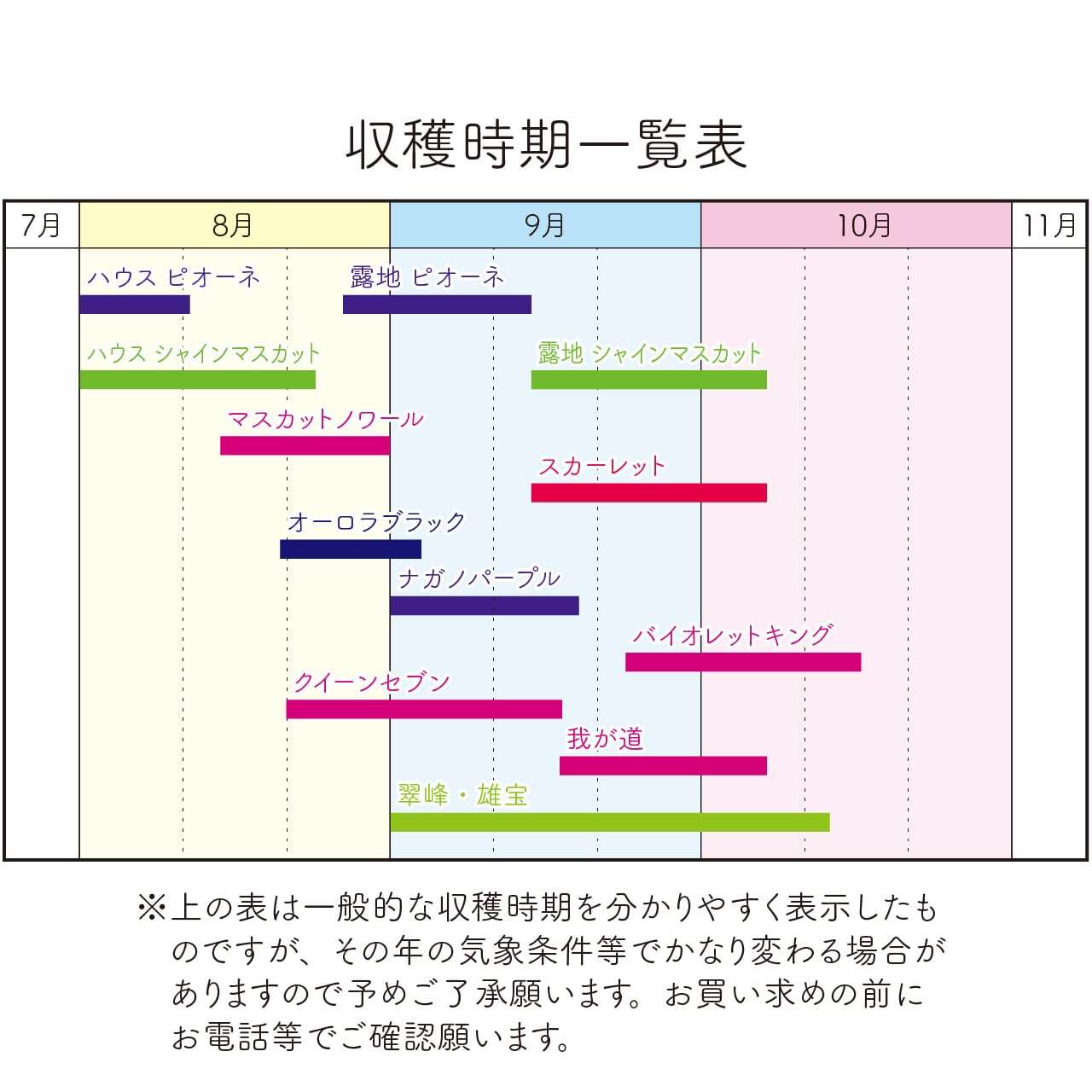 旬なぶどう（2kg箱） | 今田ぶどう農園