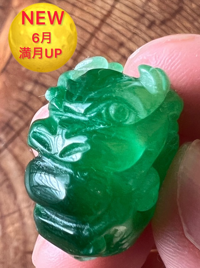 【ウロボロス】bドラゴン翡翠ペンダント　直径22㎜