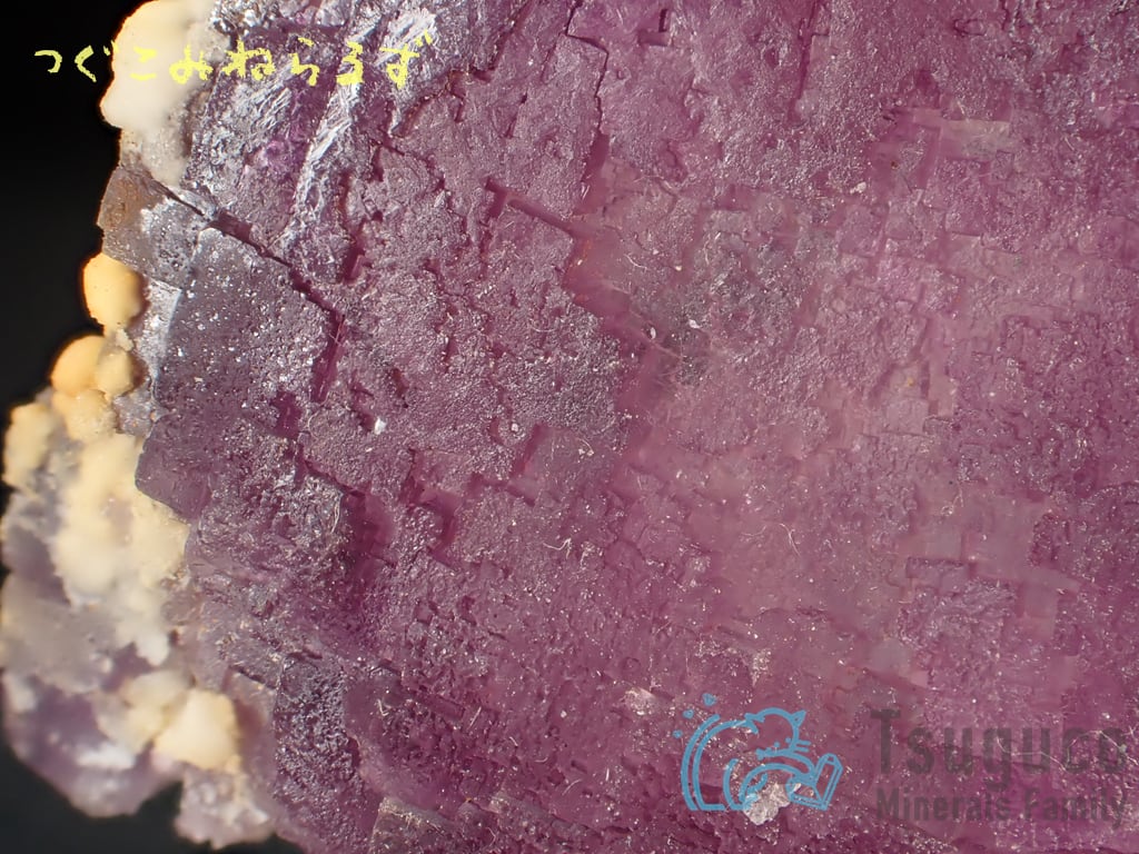 フローライト 蛍石 Fluorite スペイン TM-0003