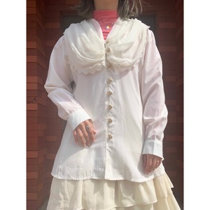 sheer big colour blouse