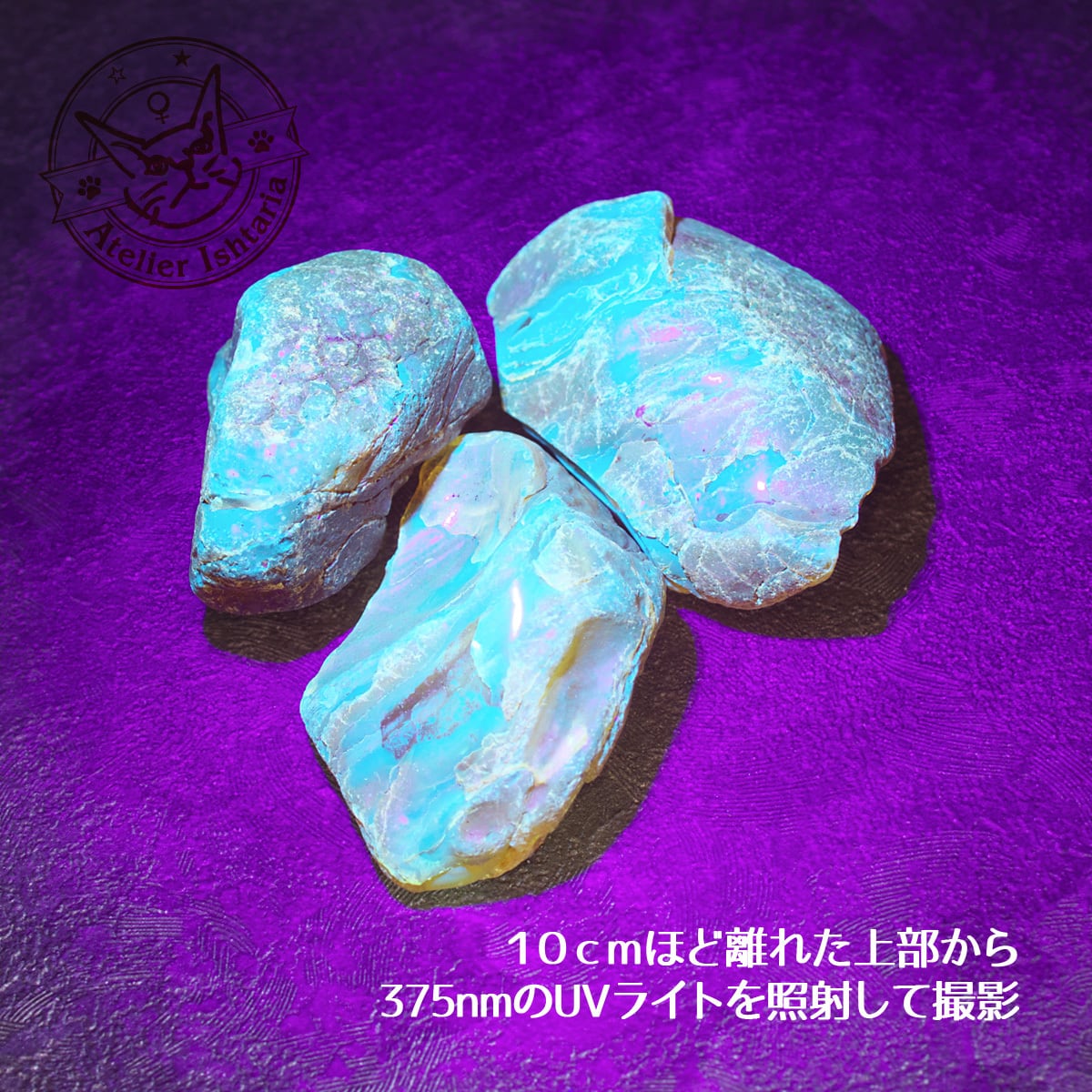 ランダム発送】バルティックアンバー原石 B-2【ポーランド産】／琥珀