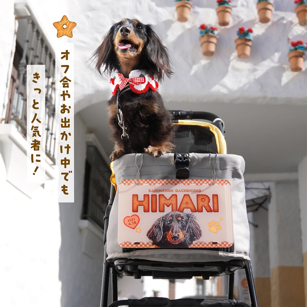 カート ネームプレート 〈ビスケットstyle〉 | ひまわんギャラリー