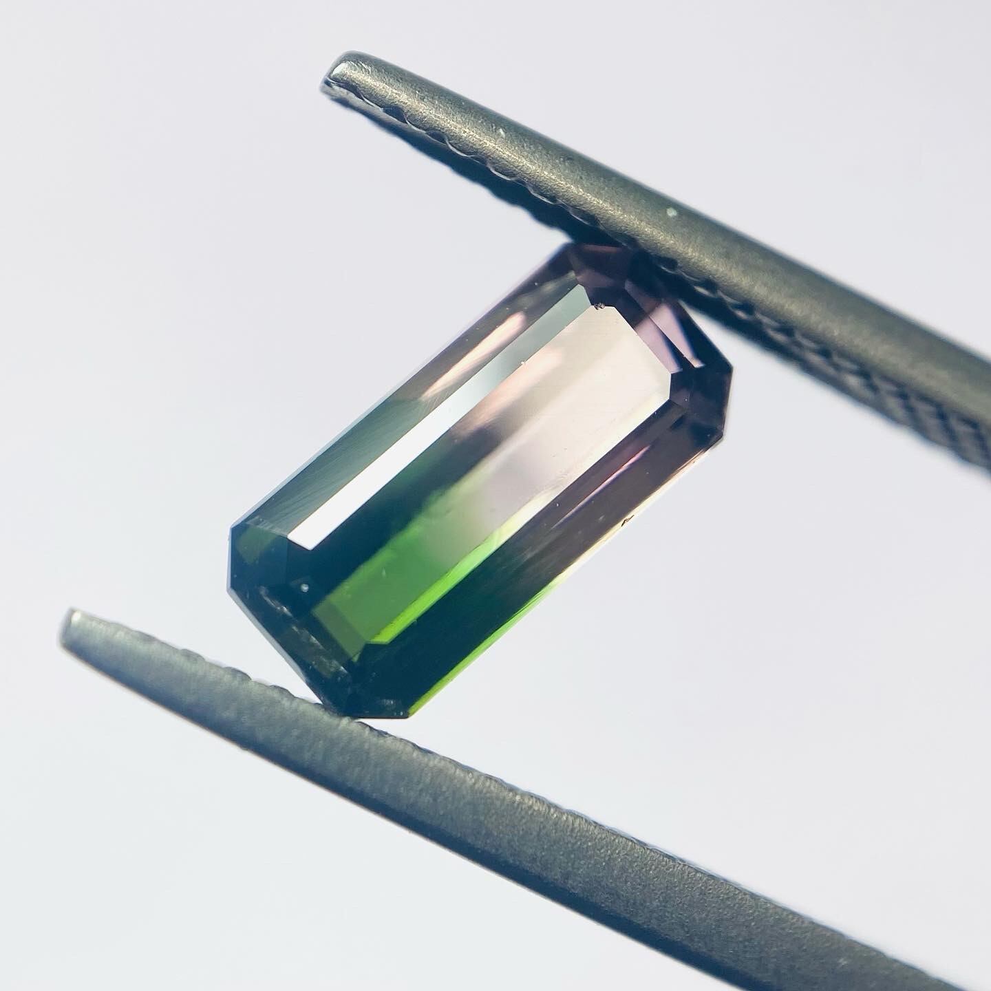 景色の見えるトルマリン3 春〜桜・新緑