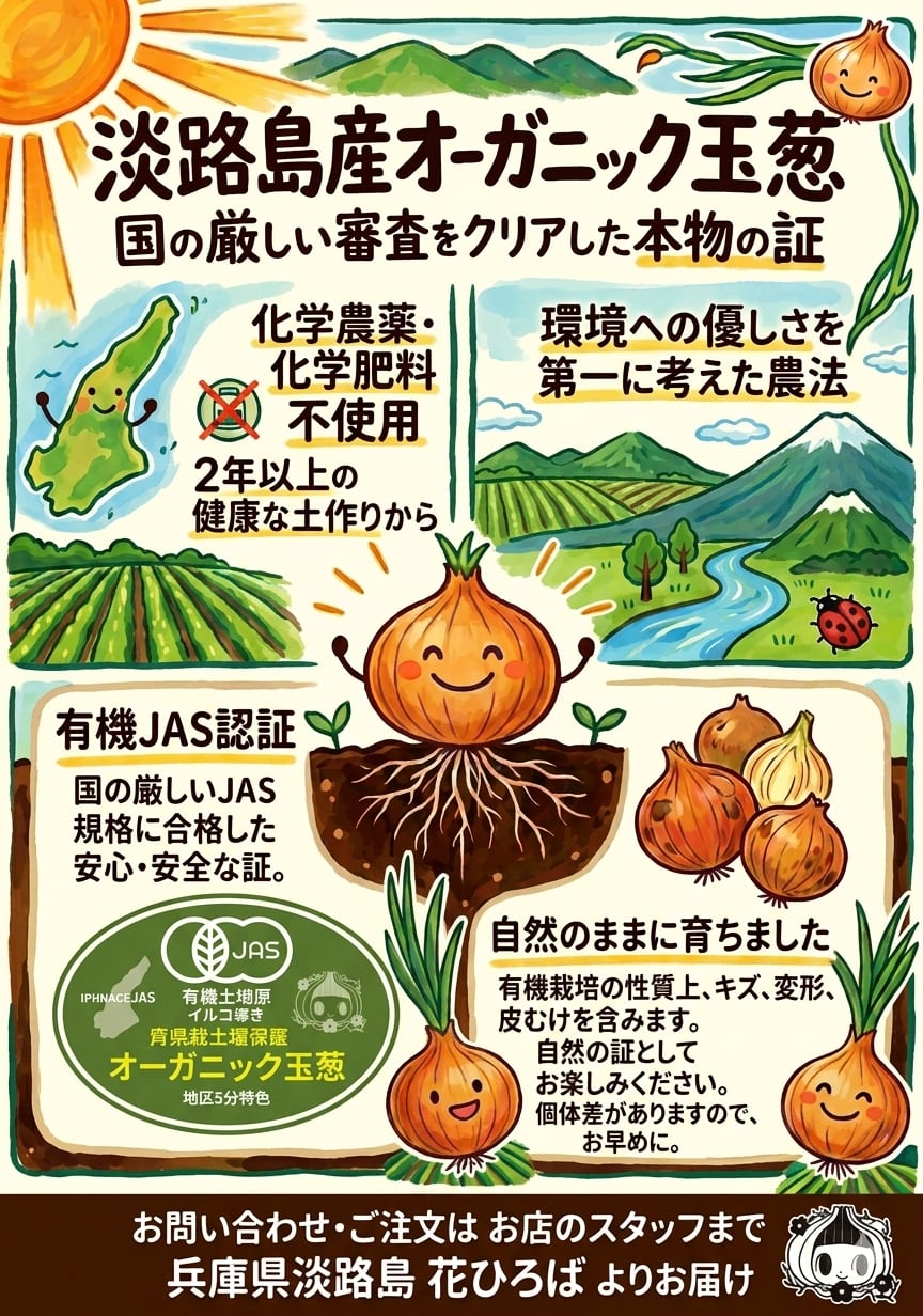 有機栽培玉葱 5kg 淡路島産 JAS認定 オーガニックはなたま たまねぎ