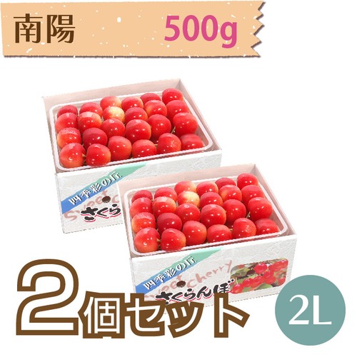 【さくらんぼ】南陽 500g【2L】×2個セット