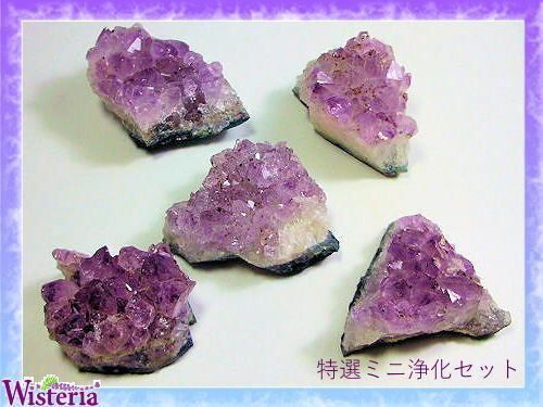 特選☆ミニ浄化セット | Wisteria（ウィステリア）