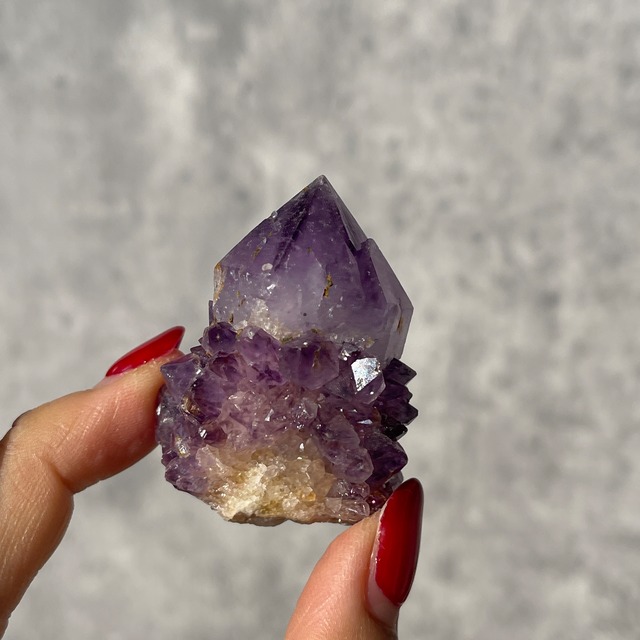 南アフリカ産 アメジスト カクタスクォーツ｜濃紫・オールドロット｜一点もの