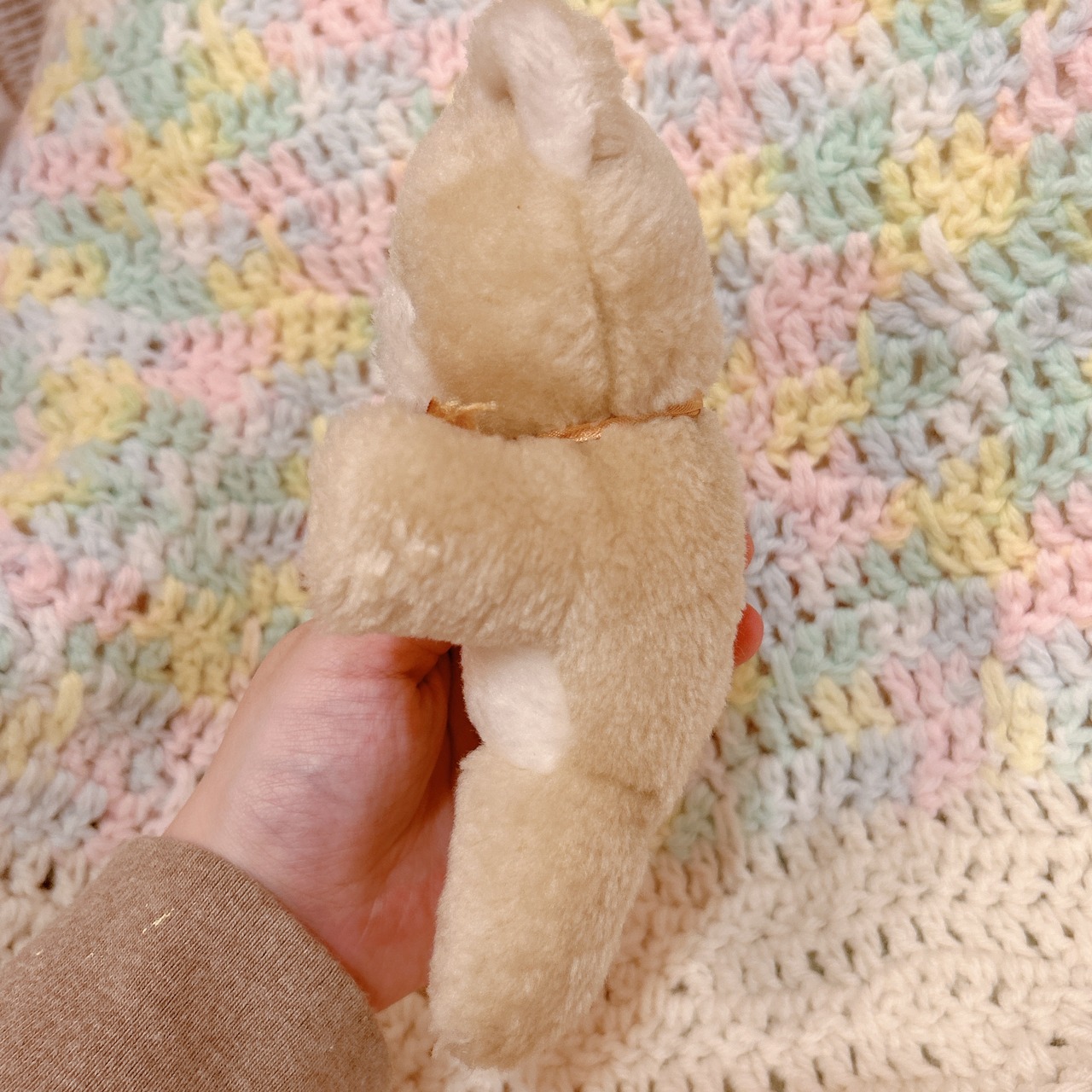 bearの画像03