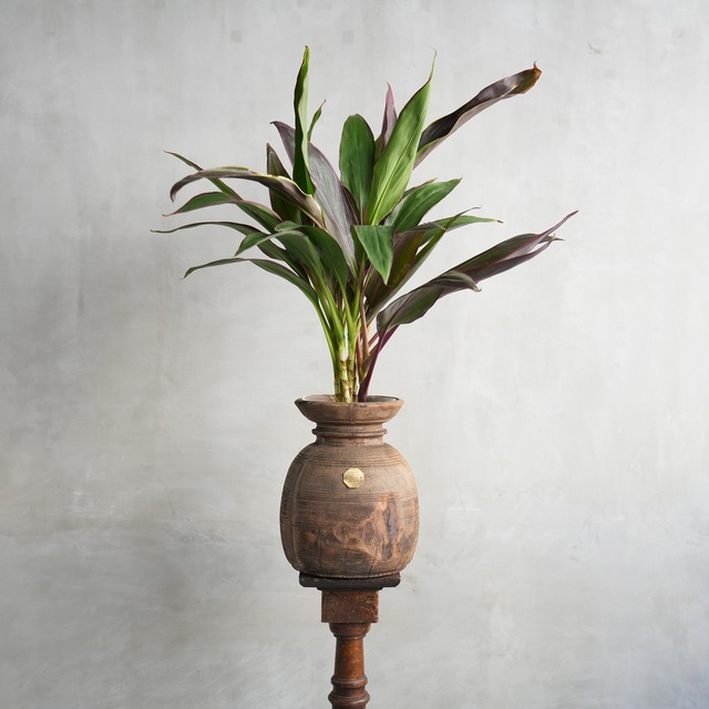 VINTAGE WOODEN POT W/GLASS CYLINDER　J-0141