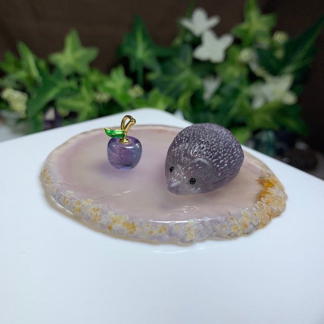 1.フローライトハリネズミさんの住処・~ハリーさんの休憩所~