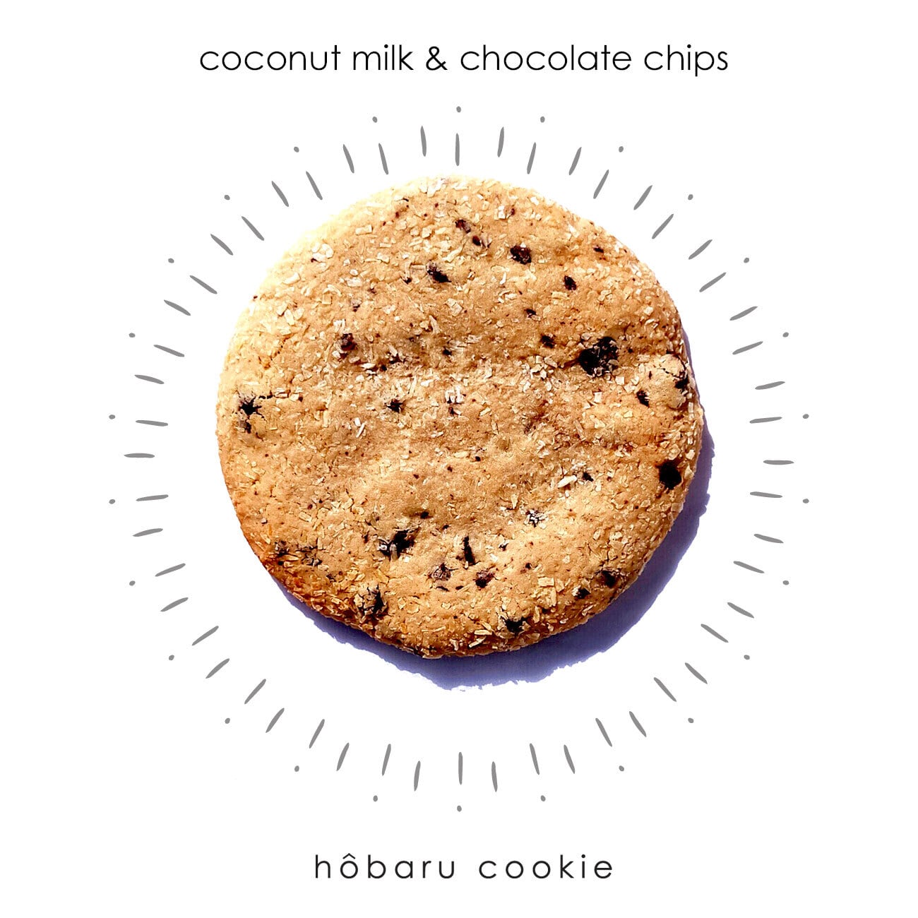 ココナッツミルク＆チョコチップ | ほおばるcookie【marl online shop】