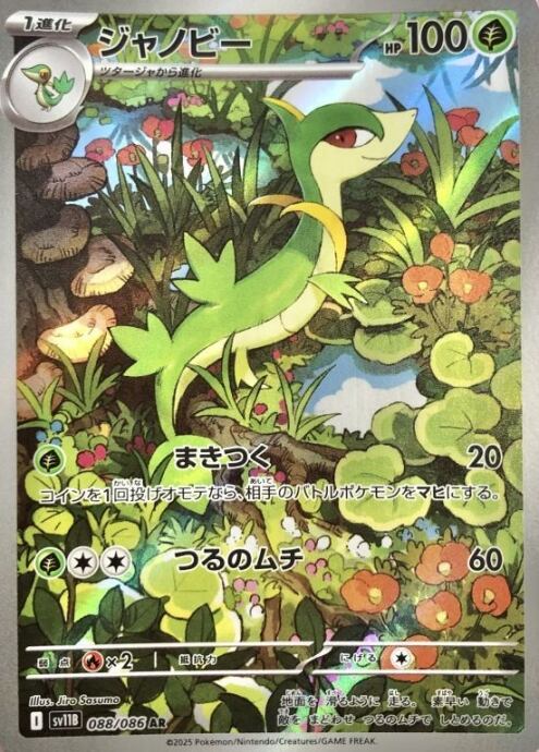 【美品】ジャノビー(AR)