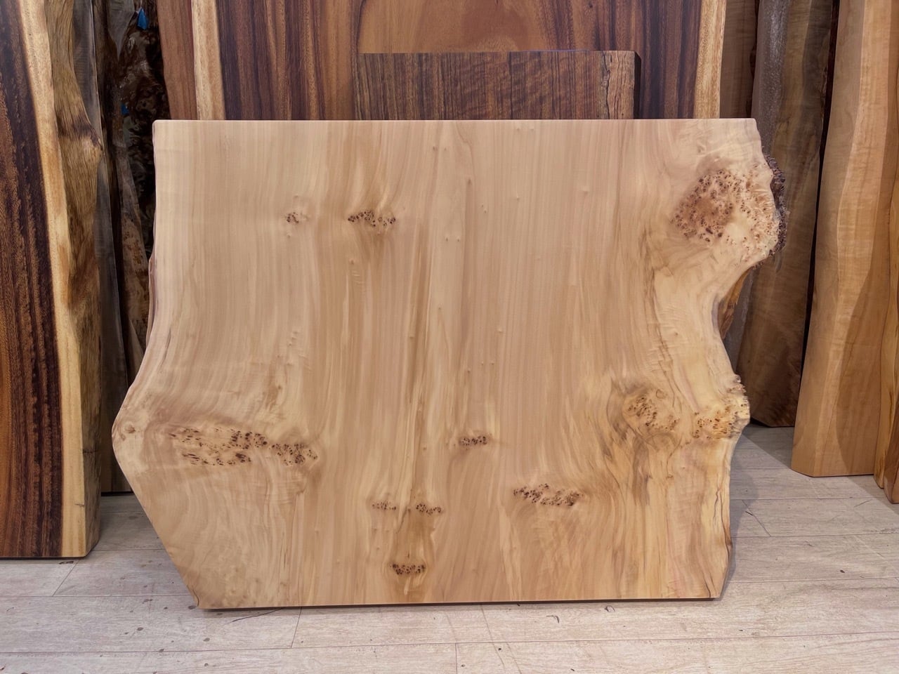 ポプラ瘤_680×840-760×68_浅草本店_テーブル天板/一枚板 231844 | 千年