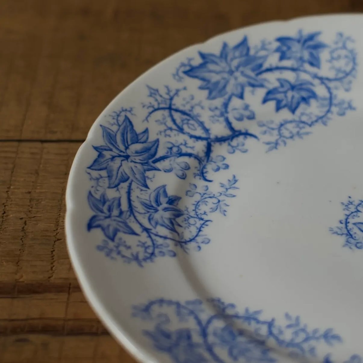 SARREGUEMINES Plate / サルグミンヌプレート 【C】〈フランス食器・皿