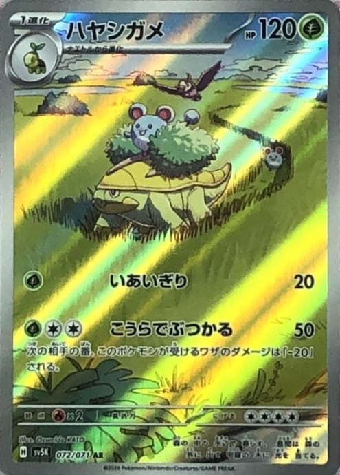 【Bランク】ハヤシガメ(AR)