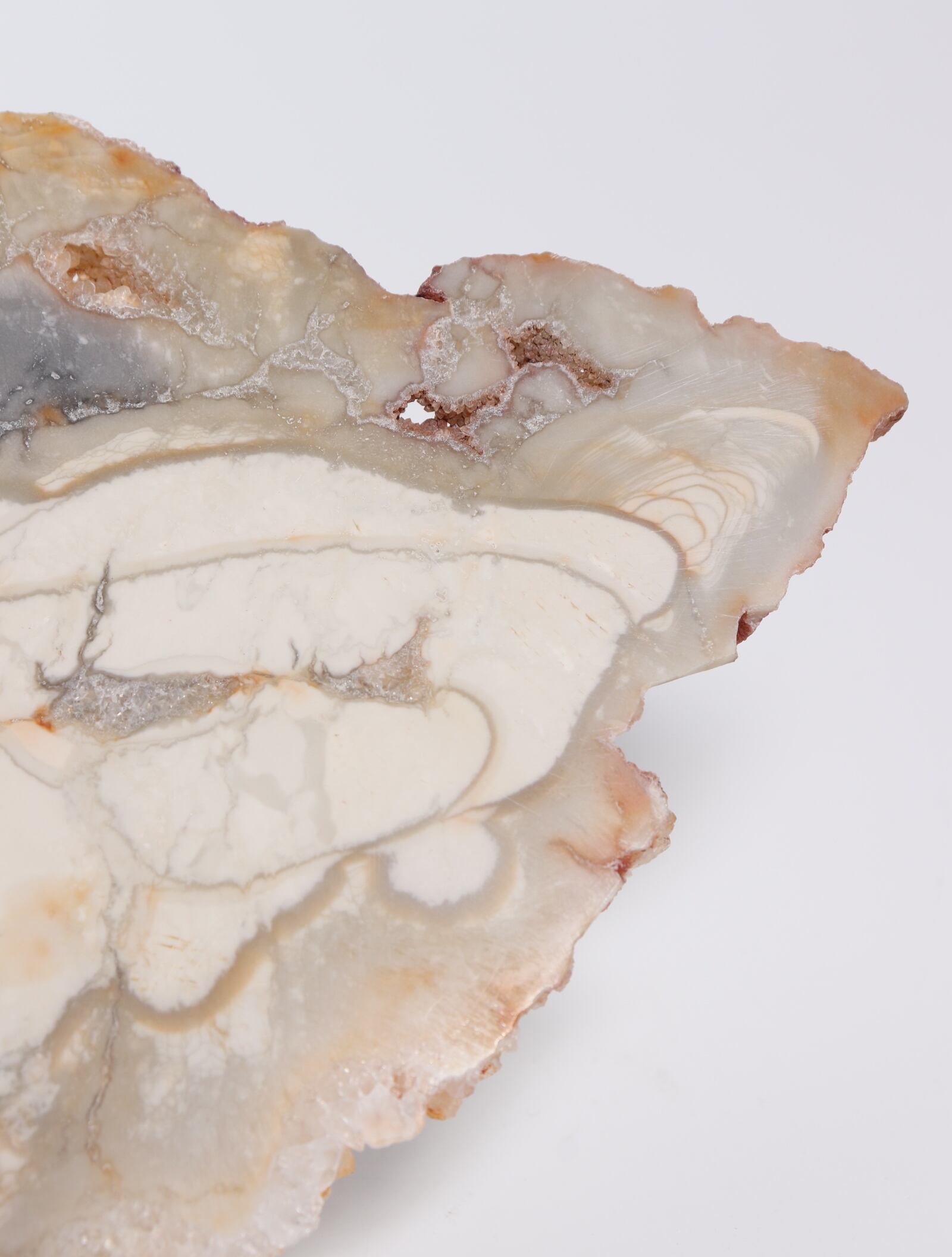 IBIS JASPER SLICE | Madagascar | acenus