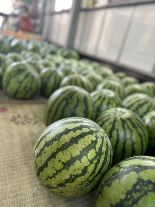 種まで美味しい【ぷちっと】・画像7