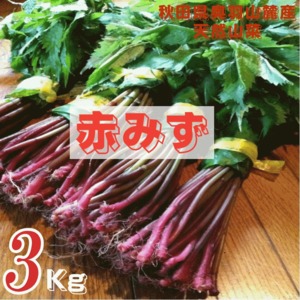 天然山菜 完全予約販売 秋田県産天然みず ウワバミソウ ３Kg　産地直送 送料無料