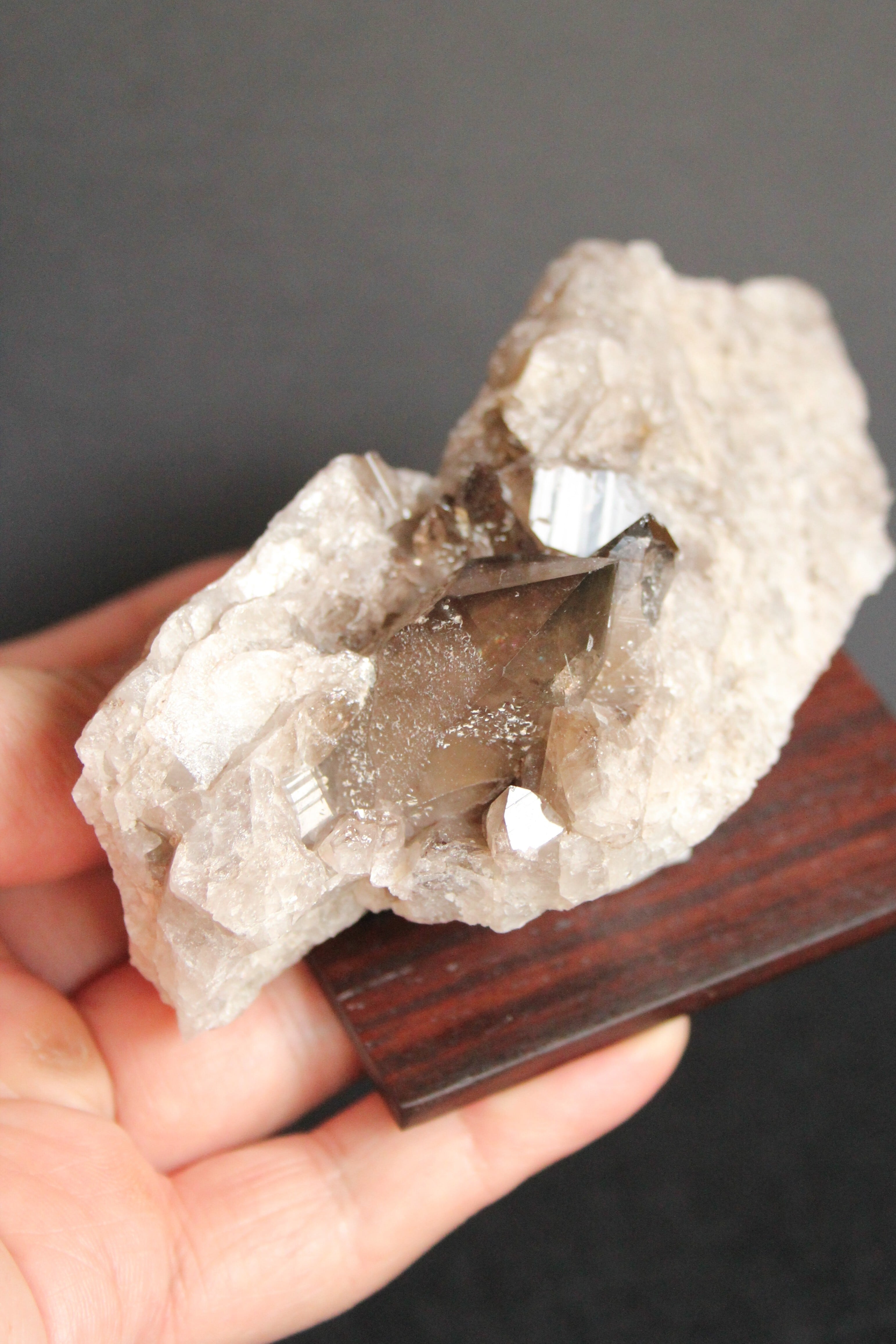 【243】宮崎スモーキー ローズウッドスクエア70