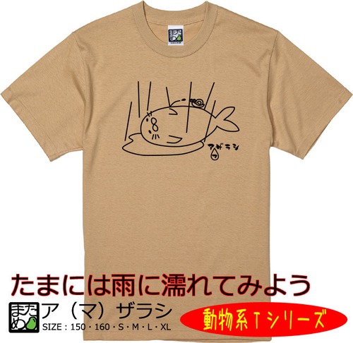 【おもしろ動物系Tシャツ】ア(マ)ザラシ