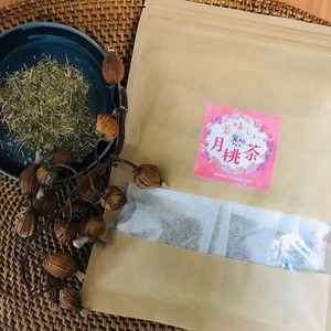 【定期便　2か月サイクル】美味しい（実入り）月桃茶ティパック（葉.実3g）×20包