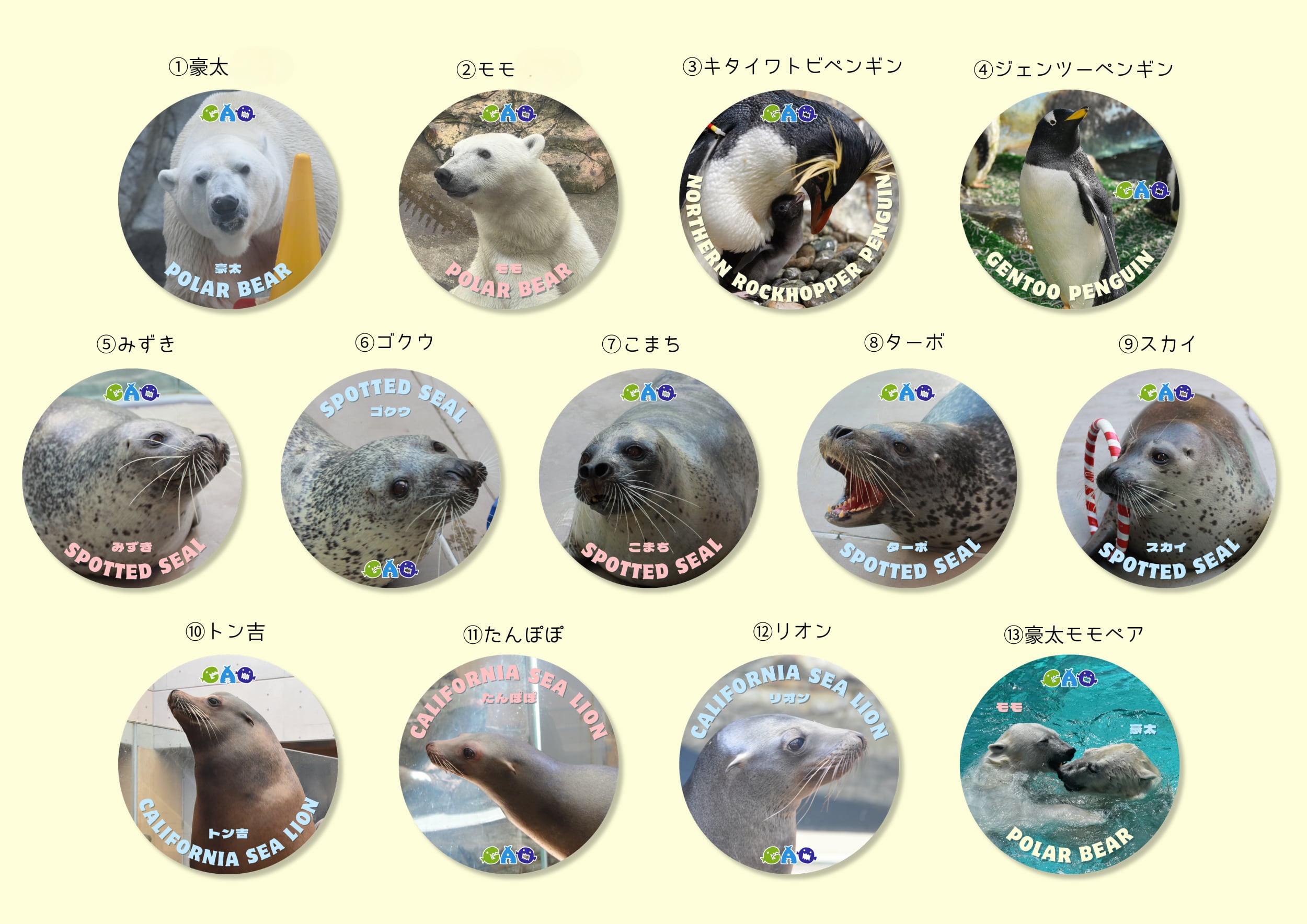 f3b6a5ddede5b27160861268b8481e