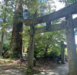 天から舞い降りた龍神さまの器（青龍）
