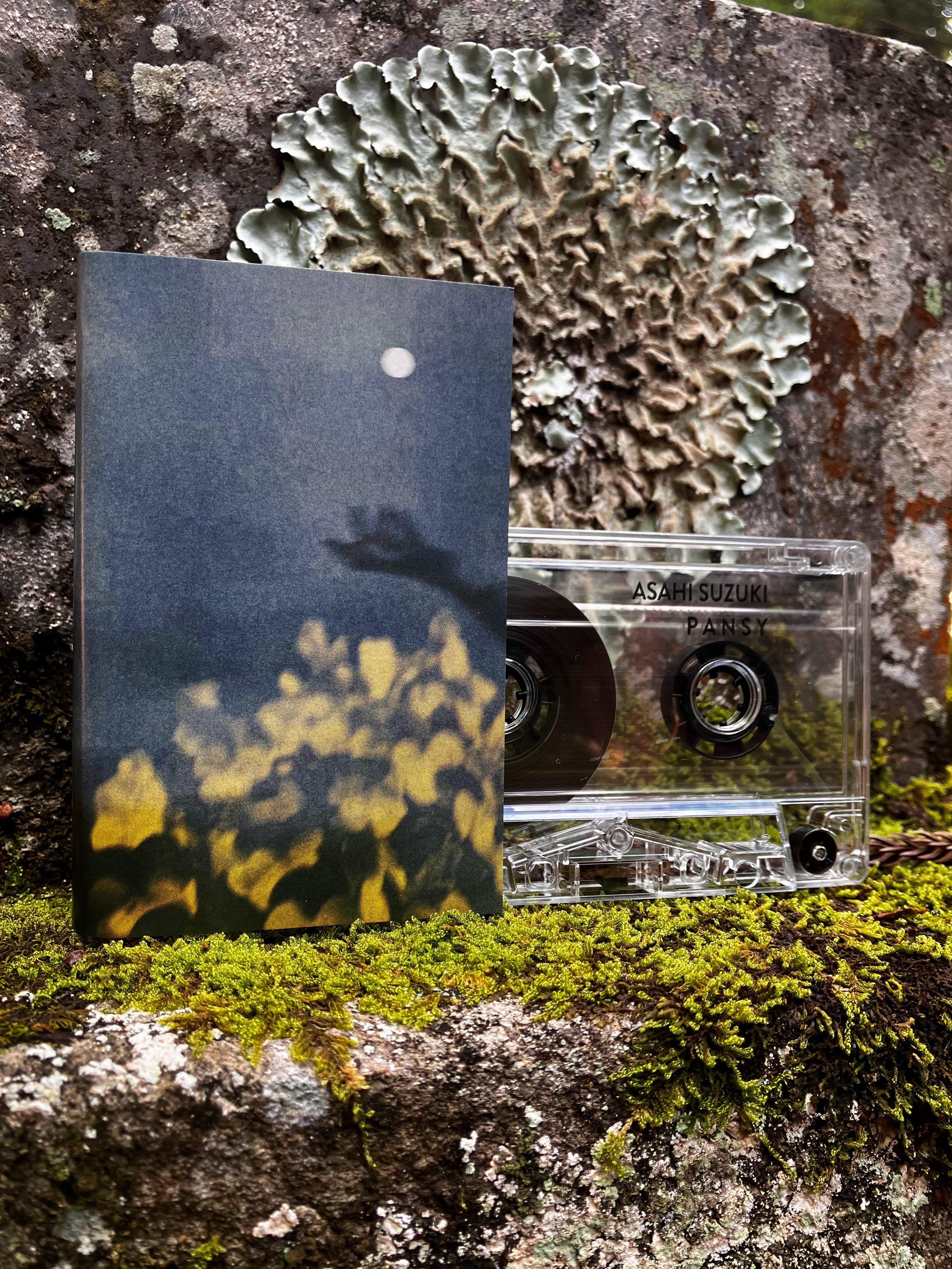 邦楽 Solitude 2:14am Fading Away Solitude 2:14 am - Fading Away（Vinyl） | ゴヰチカ商店