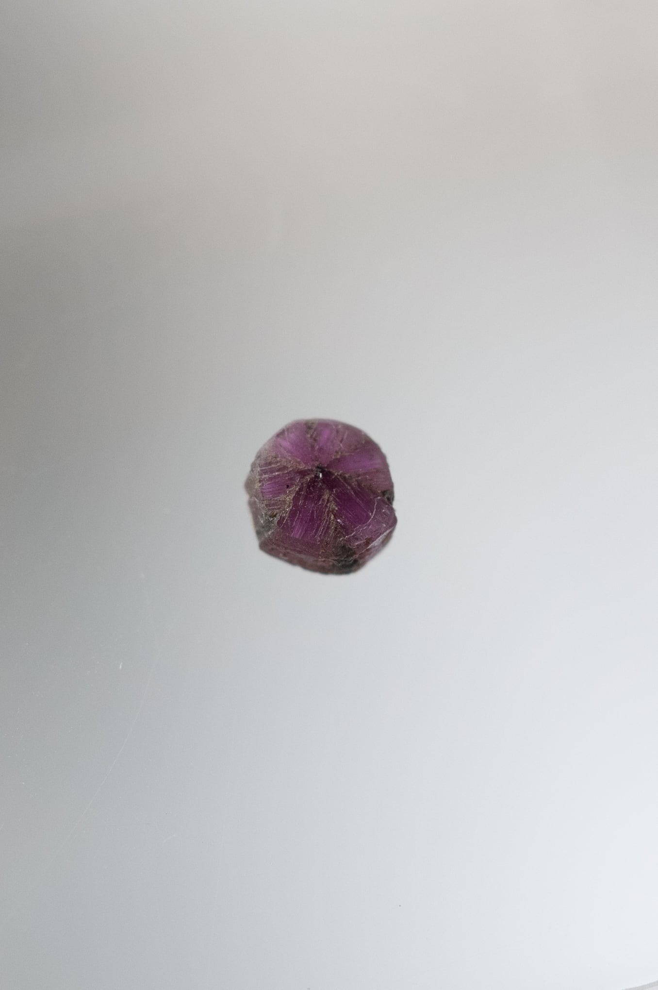 トラピッチェルビー - 025