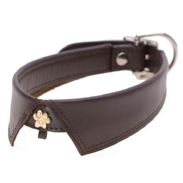 B.B. Simon.・ビービーサイモン] Pink Leather with Crystals Dog