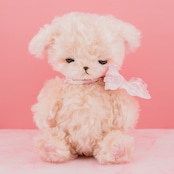 105 まどろみ。窓辺にて。