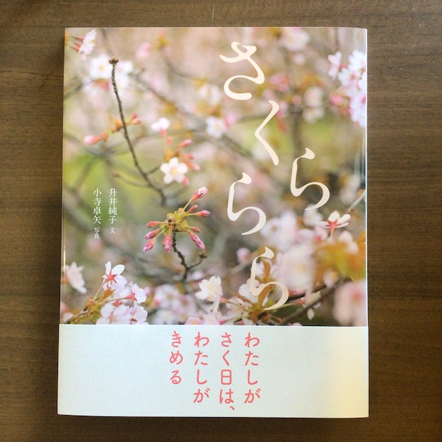 『ローラ　うまれてくる　あなたへ』 ベネディクト・ゲティエ　作      ふしみみさを　訳       朔北社