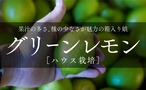 グリーンレモン（ハウス栽培）　1kg〜10kg