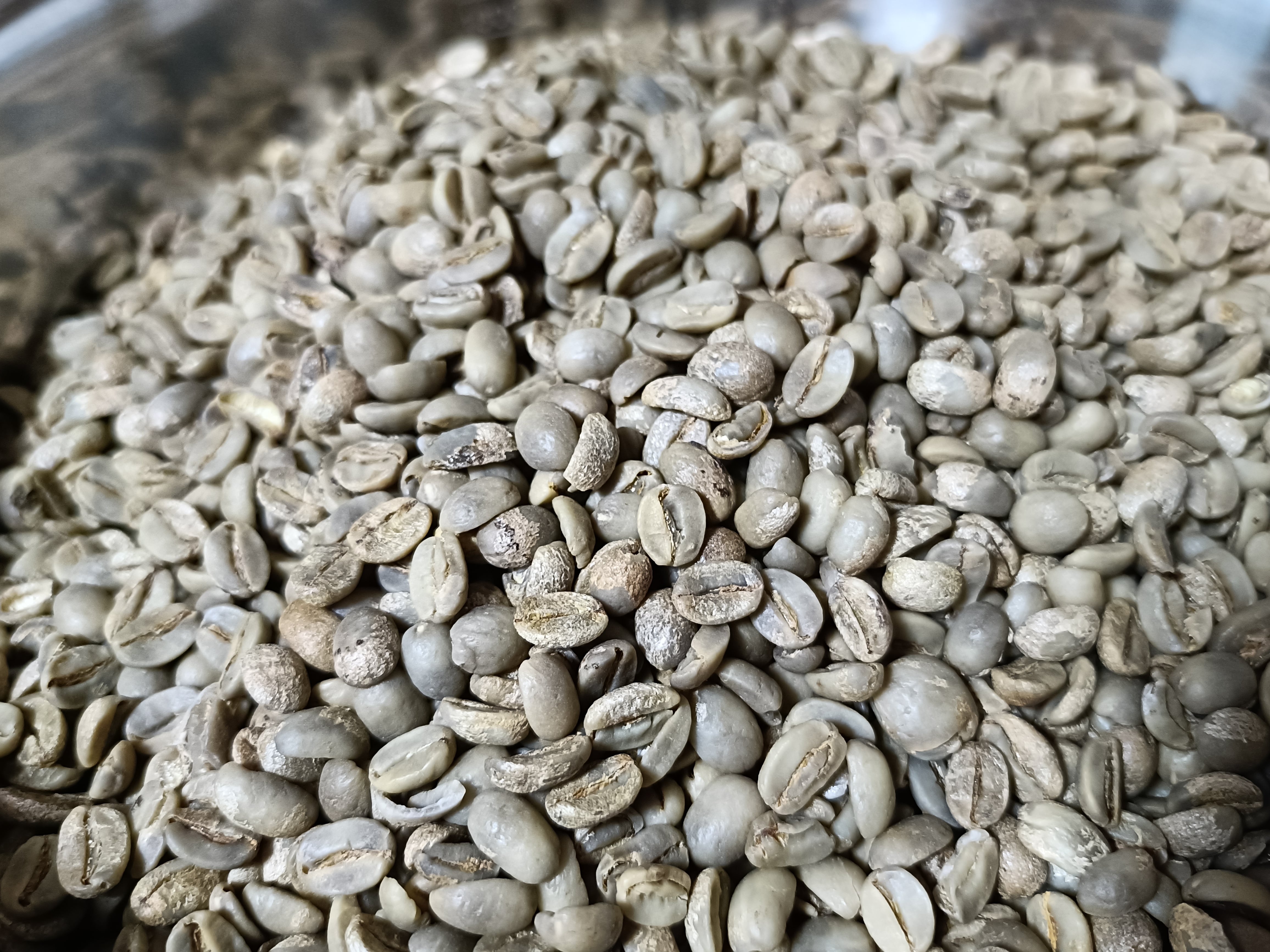 国産コーヒー焙煎豆 アラビカ種ティピカ ナチュラル 中煎り 100g