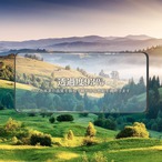Hy+ OPPO Reno13 A フィルム CPH2699 A501OP ガラスフィルム W硬化製法 一般ガラスの3倍強度 全面保護 全面吸着 日本産ガラス使用 厚み0.33mm ブラック