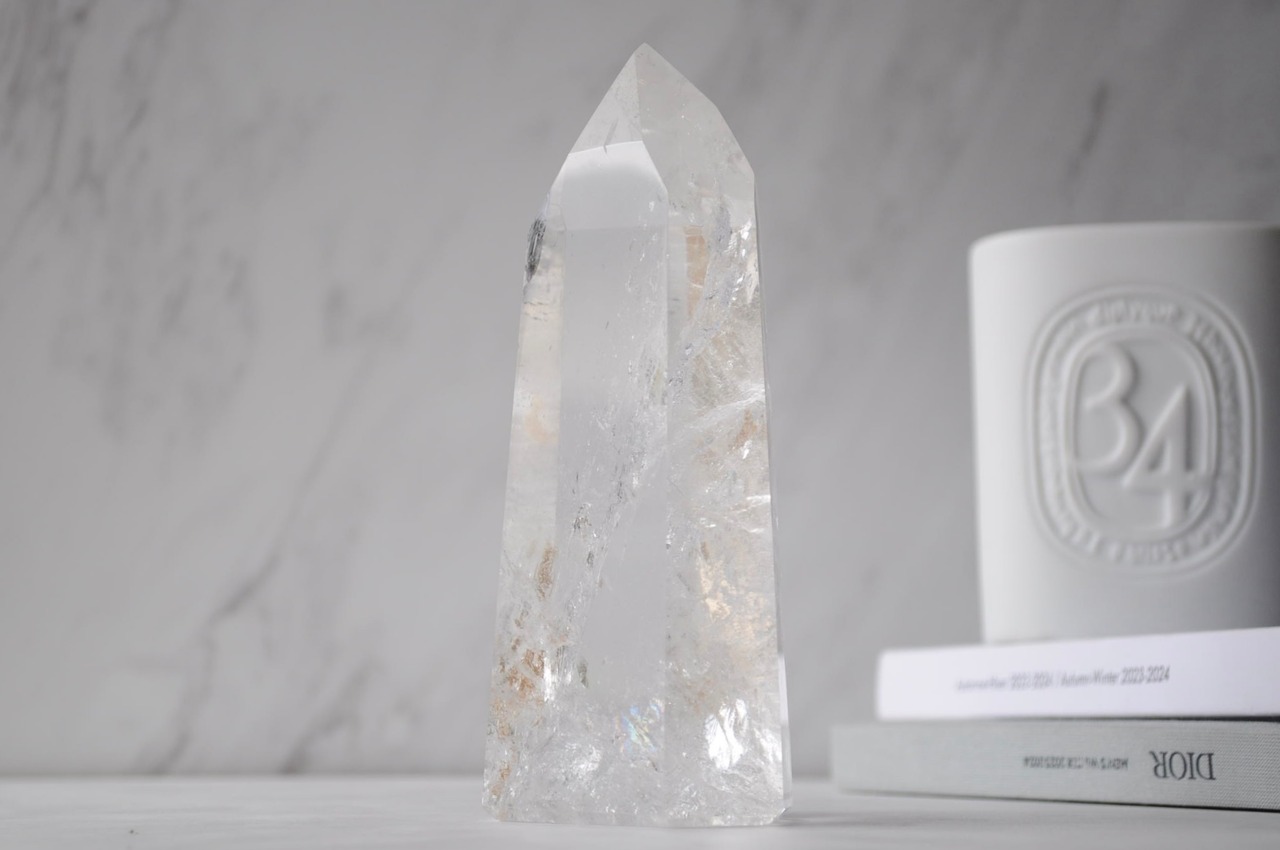 夢を叶えるりんごの樹50