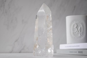 夢を叶えるりんごの樹50