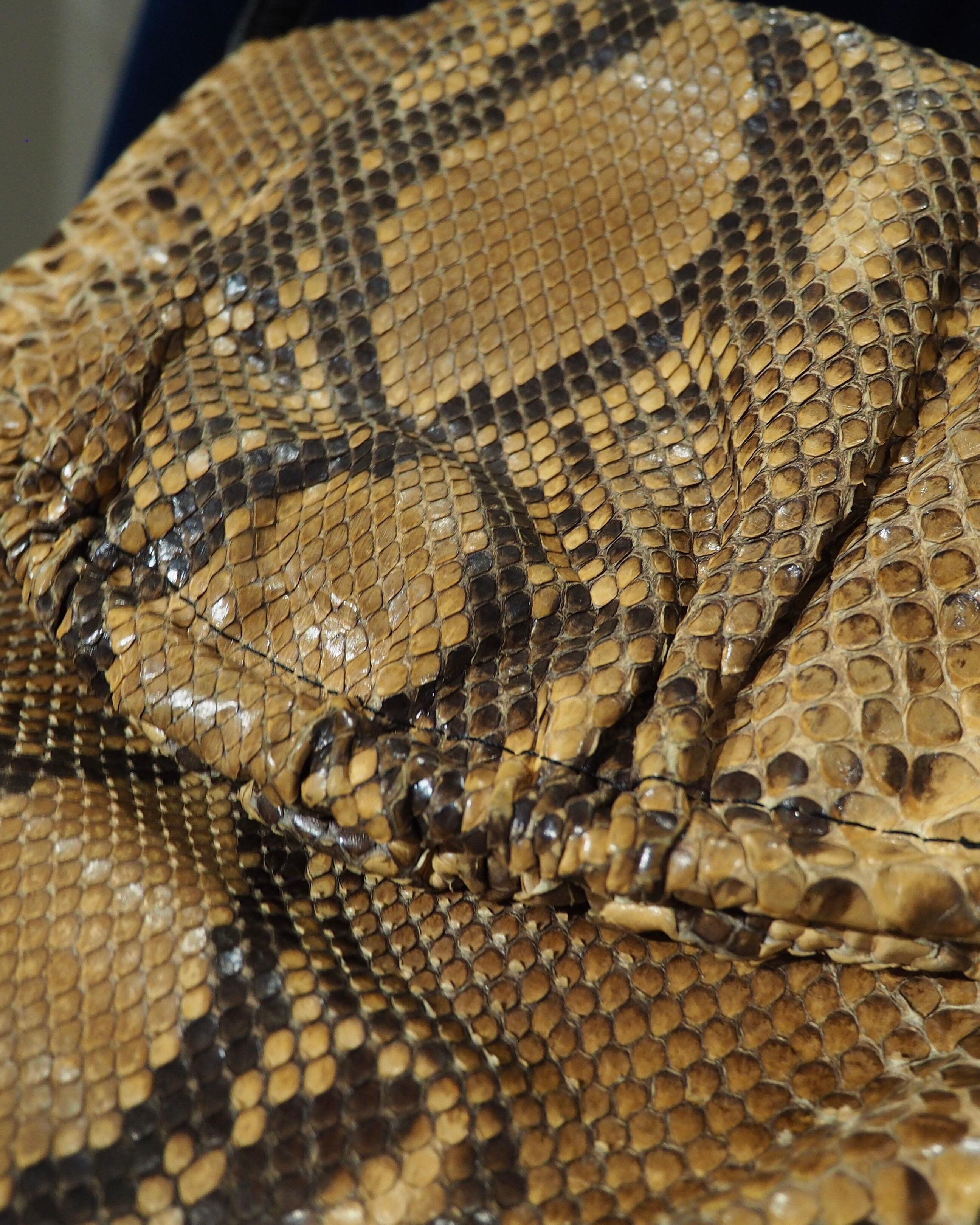 ” Unknown ” Vintage Python Leather Hand Shoulder Bag
