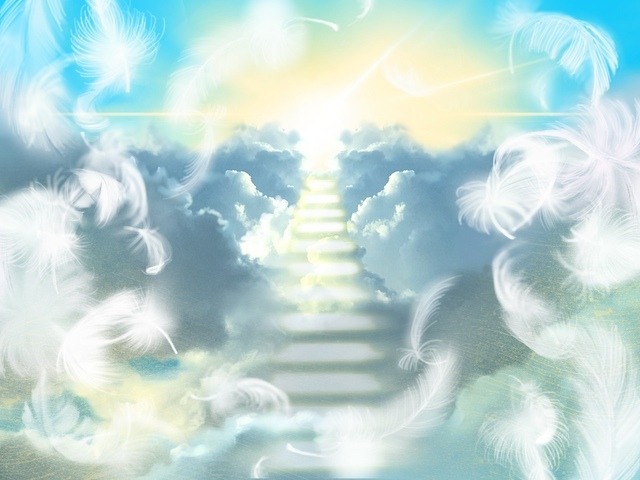 ライタリアン・ピューリフィケーションリング　レベル１