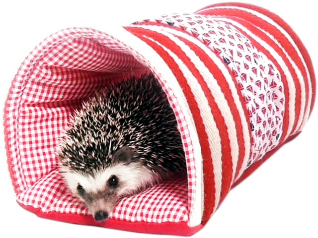 【小動物用品】みんなのトンネルマリン　レッド/ブルー