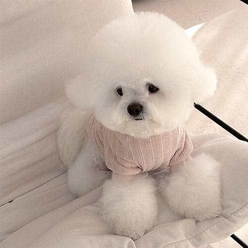 〈即納アイテム〉EYOU トップス / ベルベティセーター (ピンク)