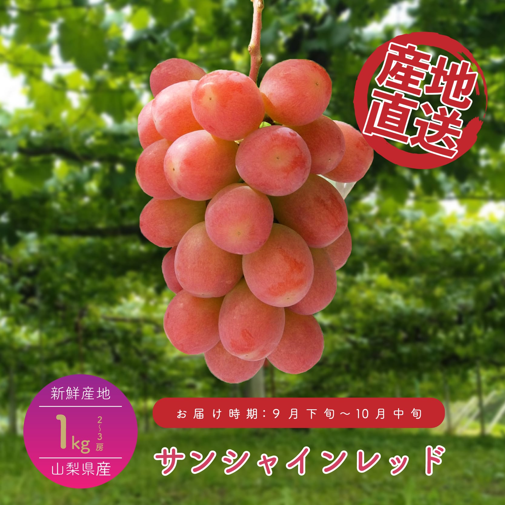 f3da612bb9c203b4f6c214ddf73583