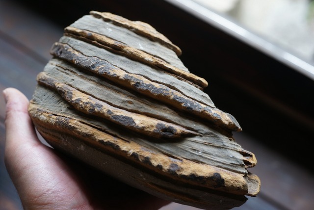 グランドキャニオン産堆積岩