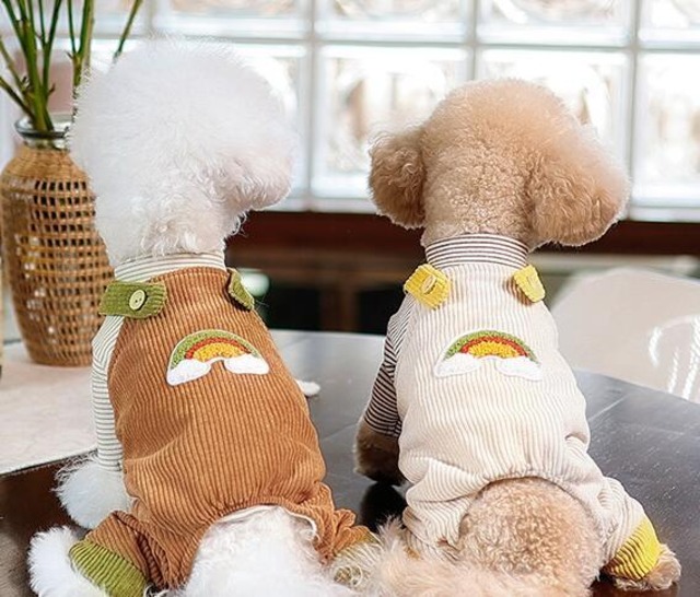 《予約》№210807 コーデュロイ虹ロンパース